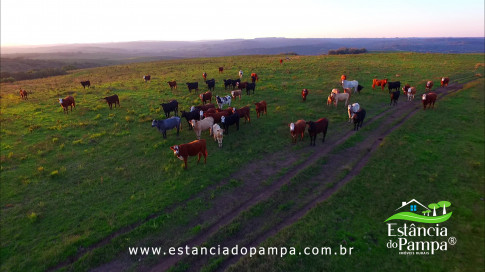 DOS EÓLICOS VIRA P FAZENDA_Moment.00_01_42_12.Quadro491_2add630f97cc7b32633e8ef9f19285b911df6a34.jpg